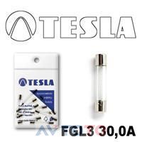 Предохранитель Tesla FGL330A.10