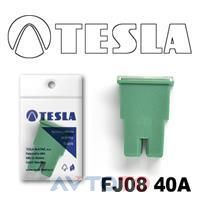 Предохранитель Tesla FJ0840A