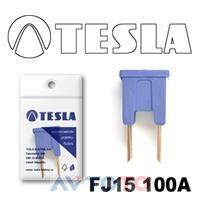 Предохранитель Tesla FJ15100A