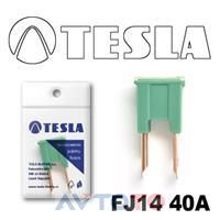 Предохранитель Tesla FJ1440A