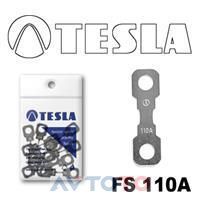 Предохранитель Tesla FS110A.10