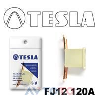 Предохранитель Tesla FJ12120A