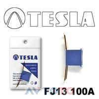 Предохранитель Tesla FJ13100A