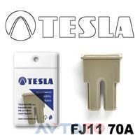 Предохранитель Tesla FJ1170A