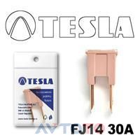 Предохранитель Tesla FJ1430A