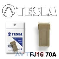 Предохранитель Tesla FJ1670A