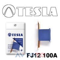 Предохранитель Tesla FJ12100A