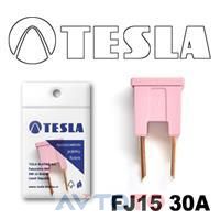 Предохранитель Tesla FJ1530A