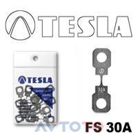 Предохранитель Tesla FS30A.10