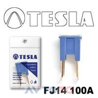 Предохранитель Tesla FJ14100A