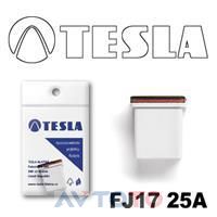 Предохранитель Tesla FJ1725A