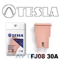 Предохранитель Tesla FJ0830A