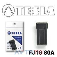 Предохранитель Tesla FJ1680A