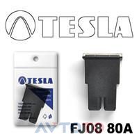 Предохранитель Tesla FJ0880A