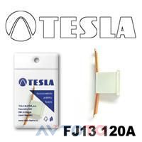 Предохранитель Tesla FJ13120A