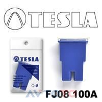 Предохранитель Tesla FJ08100A