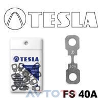 Предохранитель Tesla FS40A.10