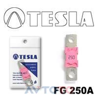 Предохранитель Tesla FG250A