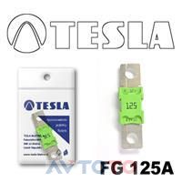 Предохранитель Tesla FG125A