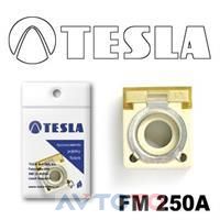 Предохранитель Tesla FM250A