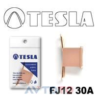 Предохранитель Tesla FJ1230A