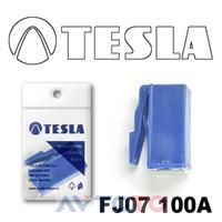Предохранитель Tesla FJ07100A