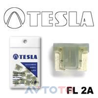 Предохранитель Tesla FL2A.10