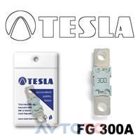 Предохранитель Tesla FG300A