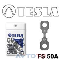 Предохранитель Tesla FS50A.10