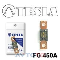 Предохранитель Tesla FG450A