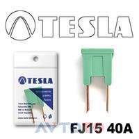 Предохранитель Tesla FJ1540A