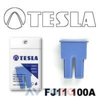 Предохранитель Tesla FJ11100A