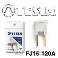 Предохранитель Tesla FJ15120A