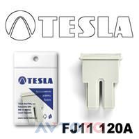 Предохранитель Tesla FJ11120A
