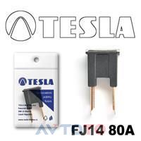 Предохранитель Tesla FJ1480A