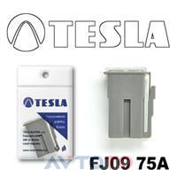 Предохранитель Tesla FJ0975A
