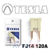 Предохранитель Tesla FJ14120A