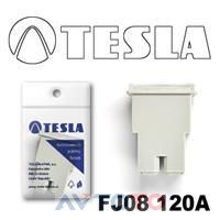 Предохранитель Tesla FJ08120A