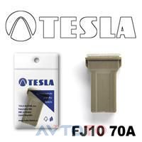 Предохранитель Tesla FJ1070A