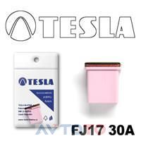 Предохранитель Tesla FJ1730A