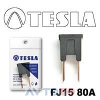 Предохранитель Tesla FJ1580A
