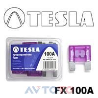 Предохранитель Tesla FX100A.10