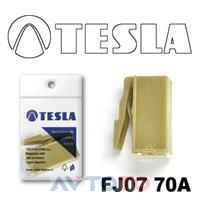 Предохранитель Tesla FJ0770A