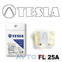 Предохранитель Tesla FL25A.10
