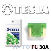 Предохранитель Tesla FL30A.10