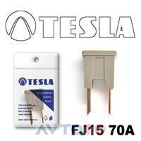 Предохранитель Tesla FJ1570A