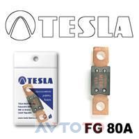 Предохранитель Tesla FG80A