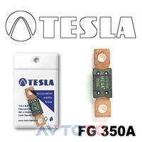 Предохранитель Tesla FG350A