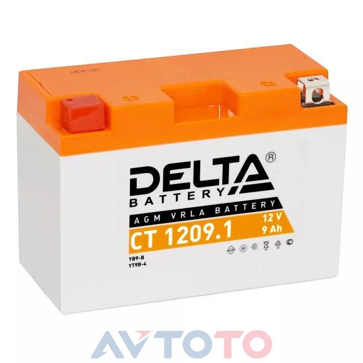 Аккумулятор Delta Battery CT12091