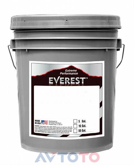 Моторное масло Everest FP54000EV19LSB